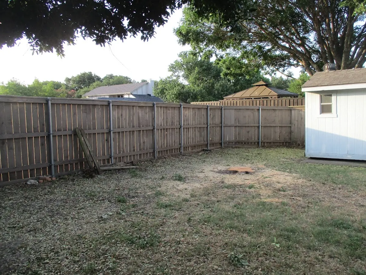 Cleared yard after professional tree removal in Noblesville